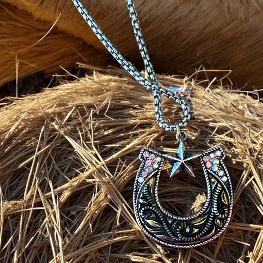 Silver and Gold Toned Horseshoe Necklace with Star Accent on a 24” chain - Picture 9 of 17
